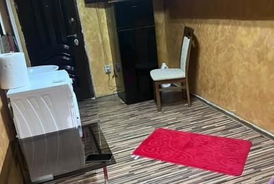 Garsonieră semidecomandată, mobilată în Valea Rosie - 2