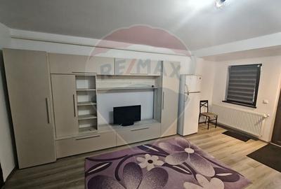 Apartament cu o camera de inchiriat Vlad Tepes - 1