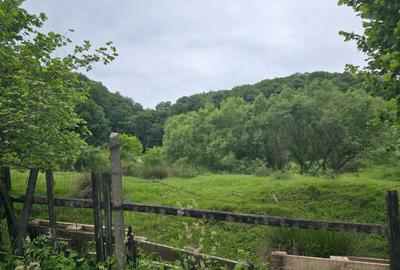 Teren agricol intravilan de 3837 mp, în Central - 9