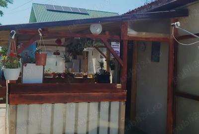 Casa de vanzare in breanesti-62000