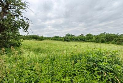 Teren de 18645 mp, în Sântămăria de Piatră - 1