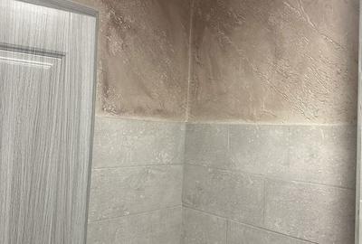 Apartament cu 2 camere decomandat în Radu Negru - 8