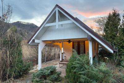 Domeniu privat cu iazuri in apropiere de Piatra Neam? - 3