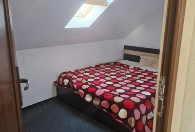 Spațiu comercial, de 150 mp, în Careiului - 3