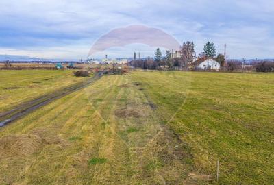 COMISION 0% Teren 3,600mp Brasov / Strada Livezilor - 11