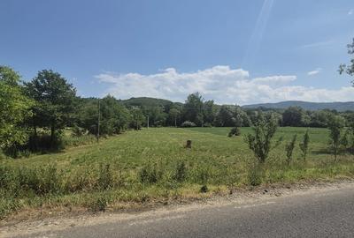 Teren de 5500 mp, în Berința - 3