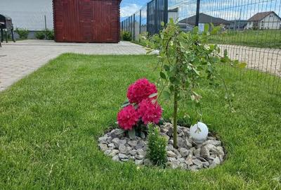 Casă cu Teren 400 Mp în Stupini - 4