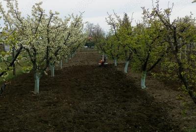 Casa batraneasca de vanzare - 4