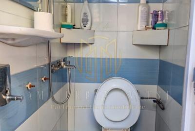 Casa langa Piatra ta Ferentari 4 camere - 10