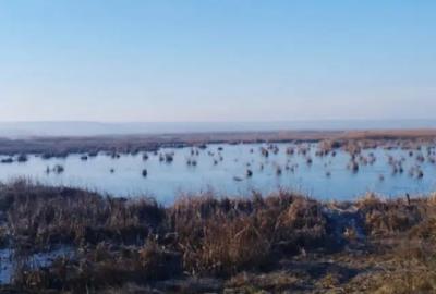 Teren de 4000 mp, în Budeni - 4