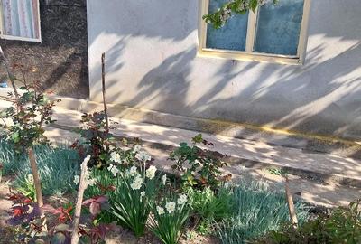 Casă cu 6 camere cu Teren 2000 Mp în Pietrele - 5