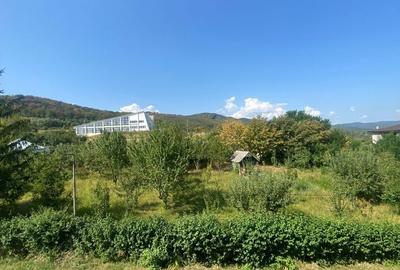Teren de 3000 mp, în Târgu Neamț - 8