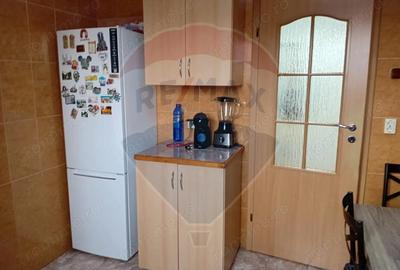 Apartament cu 2 camere semidecomandat, mobilat în Brazda lui Novac