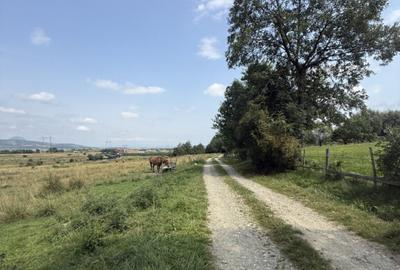 Teren intravilan 500 mp - Tohanul Nou Teren intravilan 500 mp - Tohanul Nou - 1