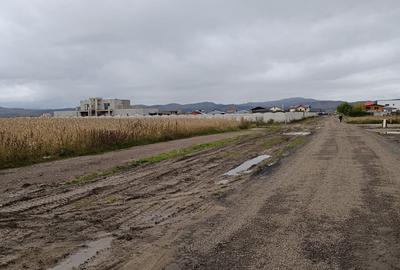 🌳 Teren de vânzare în Comuna Cristian – județul Brașov 🌳 Teren de vânzare în Comuna Cristian – județul Brașov - 1