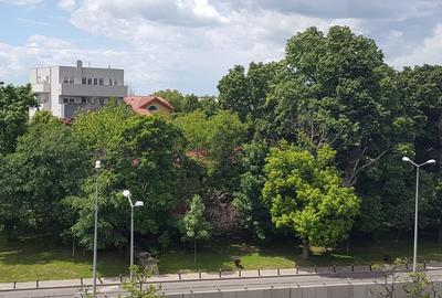 Inchiriere Garsoniera Baneasa, complet renovata - 10