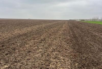 Spațiu comercial, în Berceni - 4