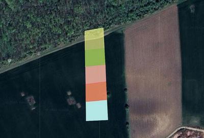 Teren de 1000 mp, în Căciulați - 3