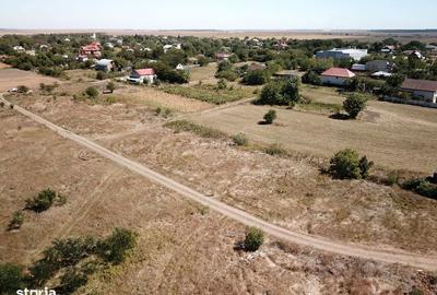 Teren de 1000 mp, în Sinești - 8