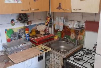 Garsoniera Etaj 2 zona Buziasului - 9