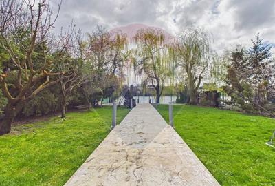 Casă cu 8 camere cu Teren 1120 Mp în Mogoșoaia - 2