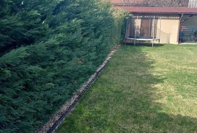 Casă cu Teren 150 Mp în Dumbrăvița