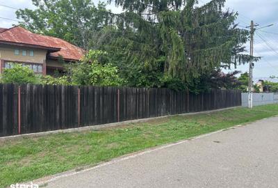 Casă cu 3 camere cu Teren 2775 Mp în Cornățelu - 3