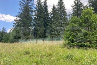 Teren de 9975 mp, în Predeal - 3