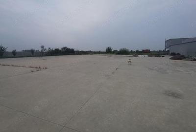 Exclusivitate Hala Padureni 400000 euro - 7