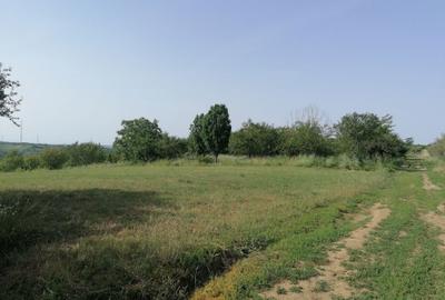 Spațiu comercial, în Central - 2