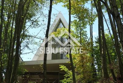 Casa / Cabana A-Frame moderna, 4 camere – Investitie - 7