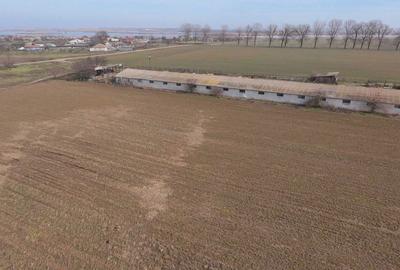 Teren de 4300 mp, în Sălcioara - 7