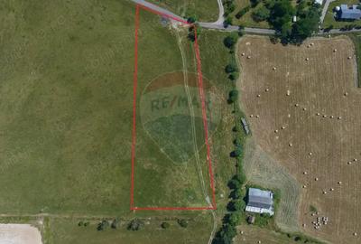 Teren Bran -Sohodol, Strada La mesteceni, 6900mp - 10