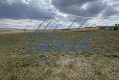 Teren de 1833 mp sat rediu - 2