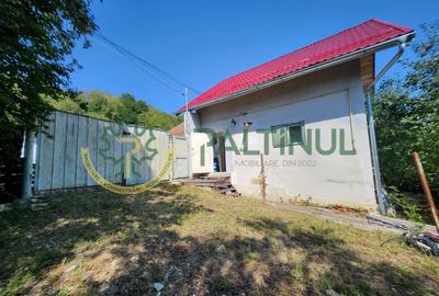 Casă Nucet, 864 mp teren cu pomi fructiferi – la 21 km de Sibiu - 1