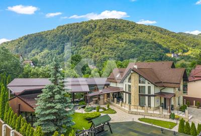 Casă individuală cu 6 camere cu Piscina în Bran - 10