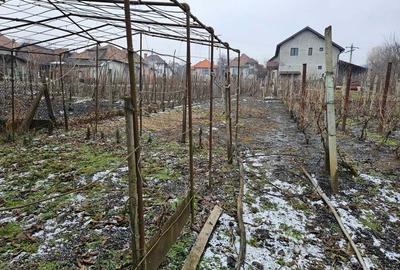 Casă în Târnăveni - 2