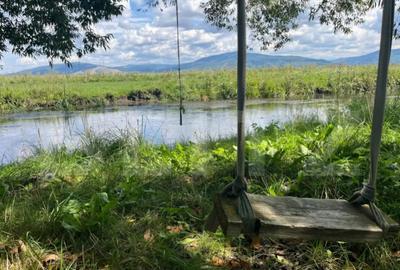 Casă cu 3 camere cu Teren 3233 Mp în Prejmer - 3