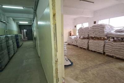 Drumul Intre Tarlale spatiu productie 1350 mp - 15