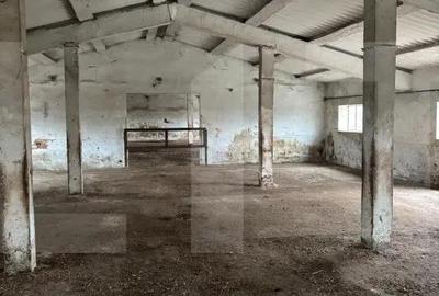 Spațiu comercial, de 740 mp, în Iratoșu - 1