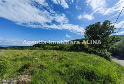 Teren de 4870 mp, în Vulcan - 4
