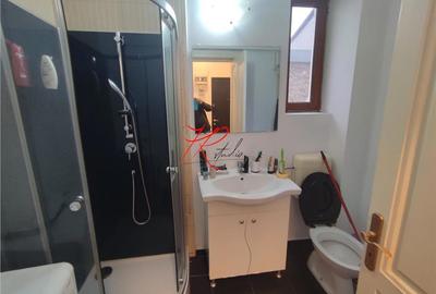 Vanzare apartament 2 camere Parcul Carol, in bloc mic, cu CT - 15