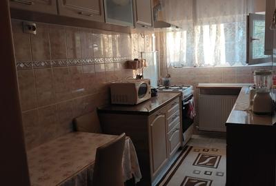Apartament cu 2 camere decomandat în Remetea - 5