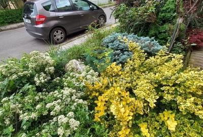 Vila cu 5 camere  P+1 Baneasa Vila cu 5 camere  P+1 Baneasa - 7