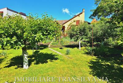 Casă cu 8 camere cu Teren 990 Mp în Independenței - 7