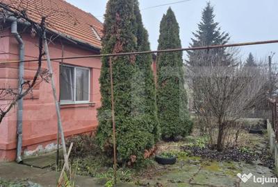 Casă cu 1 camere cu Teren 1306 Mp în Careiului - 3