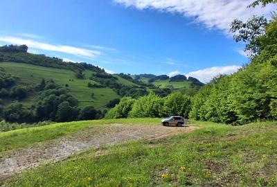 Spațiu comercial, în Poiana Mărului - 5