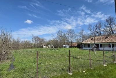 Casă cu Teren 1550 Mp în Ștorobăneasa - 3