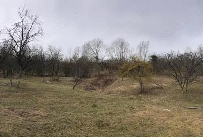 Teren de 2454 mp, în Runcu - 2