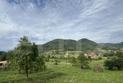 Teren intravilan, 4364 mp, in Luncoiu de Jos - 7